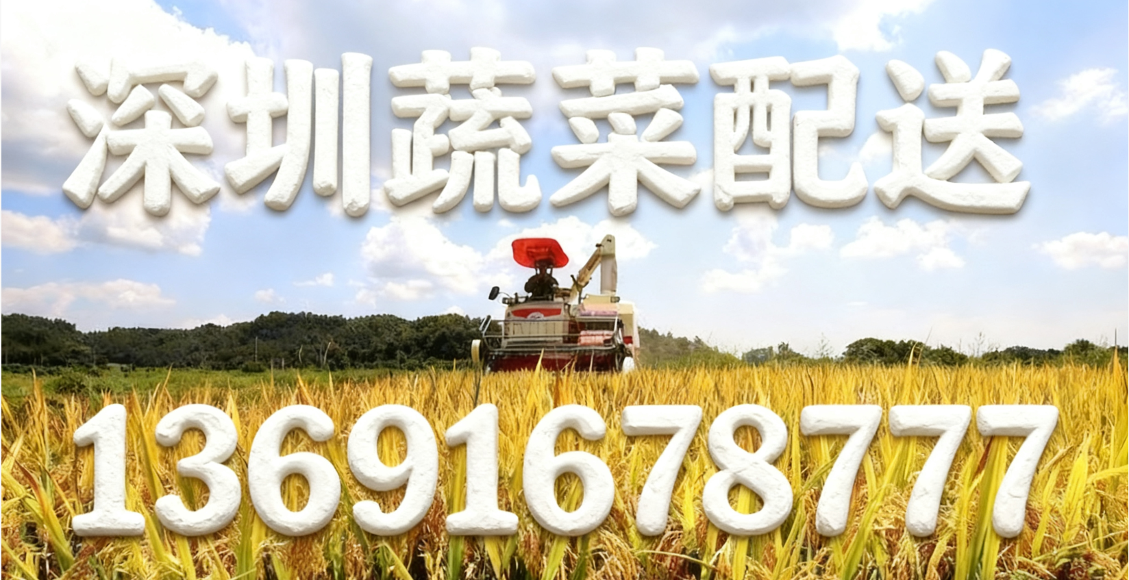 東莞蔬菜配送中心?解讀:“十五五” 怎么讓大家吃得更穩、更優？