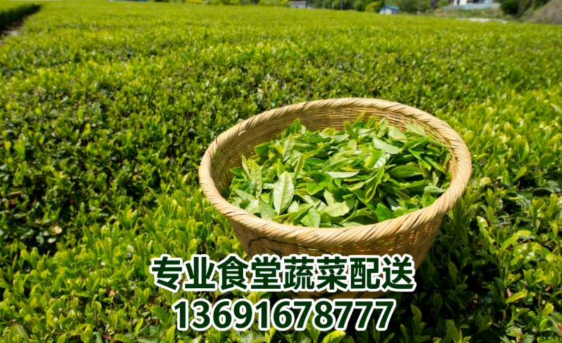 長期喝綠茶到底好不好?佳惠鮮送菜公司來為您解答!