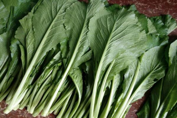 1760090064.jpg tupian_chuncai2.jpg