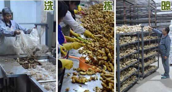 1760173991.jpg tupian_shengjiang2.jpg