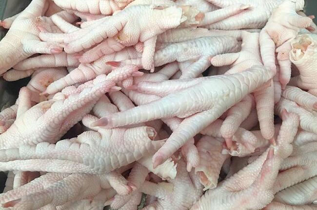 1760256395.jpg tupian_jizhua2.jpg