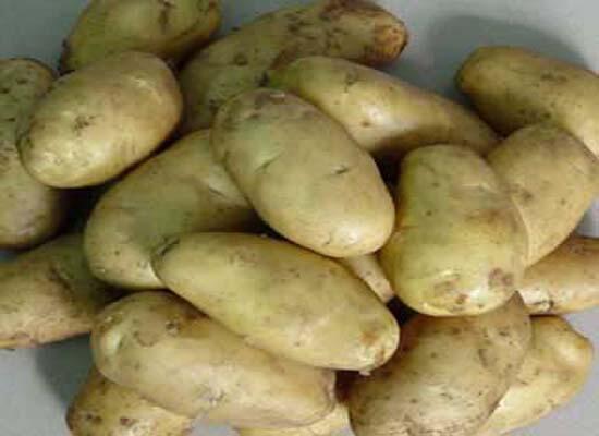 1760261586.jpg tupian_tudou.jpg