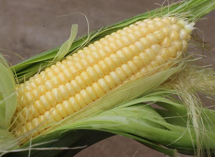 1760261696.jpg tupian_yumi3.jpg